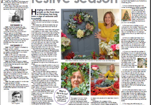 Julie peters express and star print picture for website